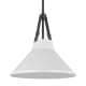 A thumbnail of the Nuvo Lighting 60/7645 Black / White