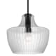 A thumbnail of the Nuvo Lighting 60/7705 Black / Silver Accents