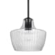 A thumbnail of the Nuvo Lighting 60/7706 Black / Silver Accents