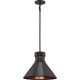 A thumbnail of the Nuvo Lighting 62/857 Dark Bronze / Copper Accent