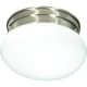 A thumbnail of the Nuvo Lighting 76/601 Brushed Nickel