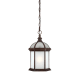 A thumbnail of the Nuvo Lighting 60/4998 Rustic Bronze