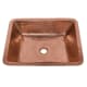 A thumbnail of the Premier Copper Products LREC19 Alternate Image