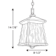 A thumbnail of the Progress Lighting P5559 Line Drawing