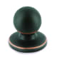 A thumbnail of the Richelieu BP3922 Brushed Oil-Rubbed Bronze