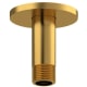 A thumbnail of the Riobel 509 Brushed Gold