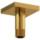 A thumbnail of the Riobel 519 Brushed Gold