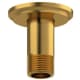 A thumbnail of the Riobel 559 Brushed Gold