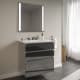 A thumbnail of the Robern 36-00NB00003 Tinted Gray Glass Vanity with Lyra Top