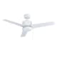 A thumbnail of the RP Lighting and Fans Aldea XI White / White