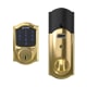 A thumbnail of the Schlage BE469NX-CAM Polished Brass