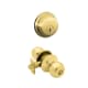 A thumbnail of the Schlage FB50-ORB Polished Brass