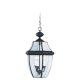 A thumbnail of the Sea Gull Lighting 6039 Shown in Black