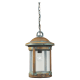 A thumbnail of the Sea Gull Lighting 6041 Aged Brass