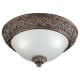 A thumbnail of the Sea Gull Lighting 75250 Shown in Regal Bronze