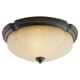A thumbnail of the Sea Gull Lighting 75474 Shown in Heirloom Bronze