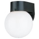 A thumbnail of the Sea Gull Lighting 8753 Shown in Black / White Glass