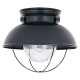 A thumbnail of the Sea Gull Lighting 8869 Shown in Black