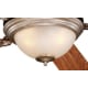 A thumbnail of the Sea Gull Lighting G500437 Dusted Ivory