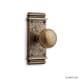 A thumbnail of the Signature Hardware 946757-DU Antique Brass