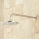 A thumbnail of the Signature Hardware 931419 Signature Hardware-931419-Shower Head - Brushed Nickel