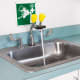 A thumbnail of the Speakman SEF-1800-CA Speakman-SEF-1800-CA-Faucet In Use View