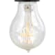 A thumbnail of the Tech Lighting 300BHV389 Clear