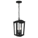 A thumbnail of the The Great Outdoors 73204 Pendant with Canopy