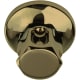 A thumbnail of the ThermaSol OSS Satin Brass
