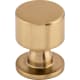 A thumbnail of the Top Knobs TK820 Honey Bronze