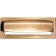 A thumbnail of the Top Knobs TK937 Honey Bronze