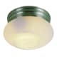 A thumbnail of the Trans Globe Lighting 3619 Brushed Nickel