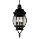 A thumbnail of the Trans Globe Lighting 4067 Black