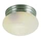 A thumbnail of the Trans Globe Lighting 3620 Brushed Nickel