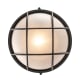 A thumbnail of the Trans Globe Lighting 41515 Alternate Image