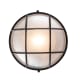 A thumbnail of the Trans Globe Lighting 41515 Alternate Image