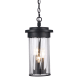 A thumbnail of the Trans Globe Lighting 51414 Black