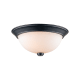 A thumbnail of the Trans Globe Lighting 70526-13 Black