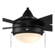 A thumbnail of the Trans Globe Lighting F-1020 Alternate Image
