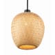 A thumbnail of the Trans Globe Lighting PND-2166 Black