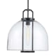 A thumbnail of the Trans Globe Lighting PND-2231 Black