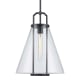 A thumbnail of the Trans Globe Lighting PND-2233 Black