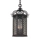 A thumbnail of the Troy Lighting F2377 Textured Iron