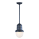 A thumbnail of the Troy Lighting FF2278 Industrial Bronze