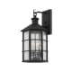 A thumbnail of the Troy Lighting B2512 French Iron