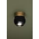 A thumbnail of the Troy Lighting C1406 Alternate Image