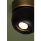 A thumbnail of the Troy Lighting C1406 Alternate Image