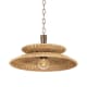 A thumbnail of the Troy Lighting F1820 Bronze Leaf