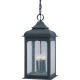 A thumbnail of the Troy Lighting F2018 Colonial Iron Incandescent