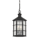 A thumbnail of the Troy Lighting F2526 French Iron